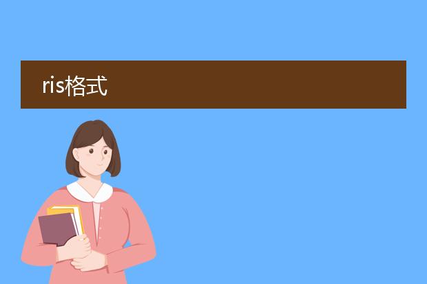 ris格式