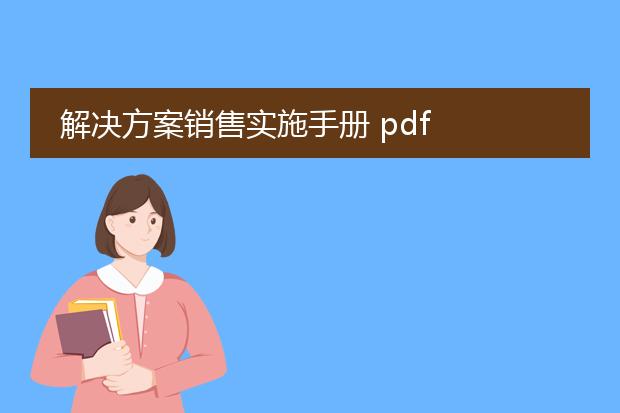 解决方案销售实施手册 pdf
