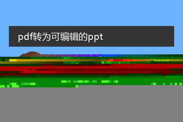pdf转为可编辑的ppt