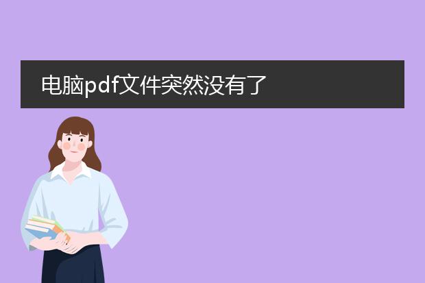 电脑pdf文件突然没有了