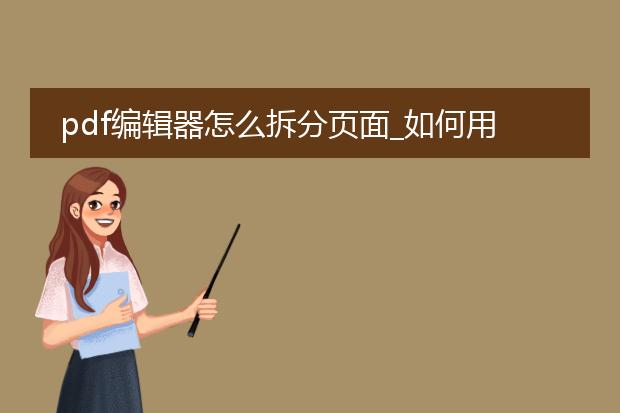 pdf编辑器怎么拆分页面_如何用pdf编辑器拆分页面
