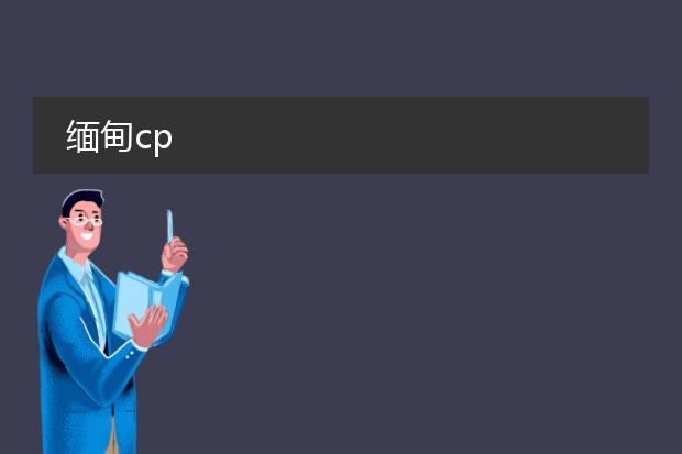 缅甸cp