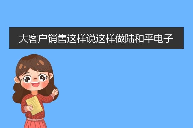 大客户销售这样说这样做陆和平电子书下载