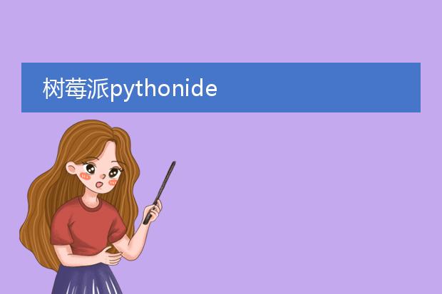树莓派pythonide