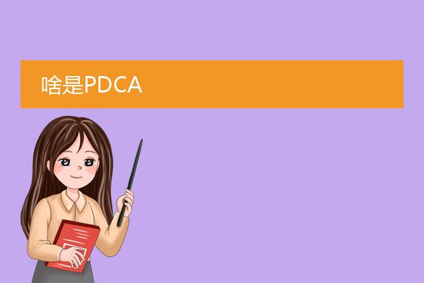 啥是pdca