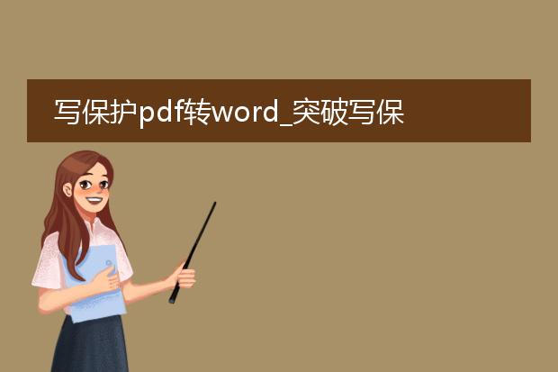 写保护pdf转word_突破写保护:pdf转word全攻略