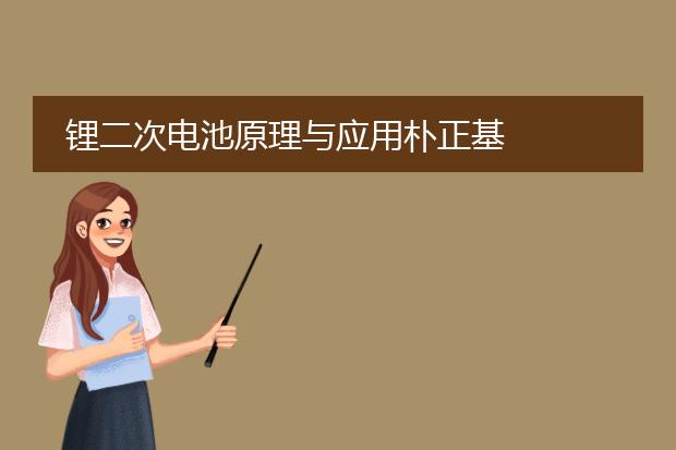 锂二次电池原理与应用朴正基