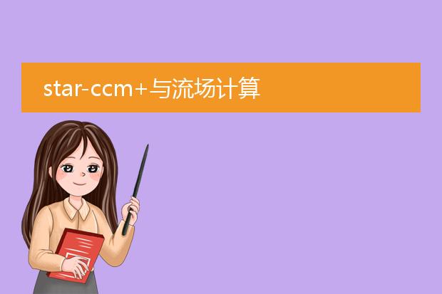 star-ccm+与流场计算