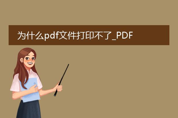 为什么pdf文件打印不了_pdf无法打印:背后的原因