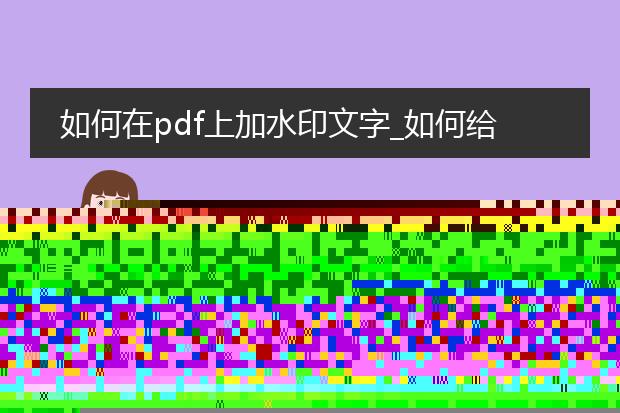 如何在pdf上加水印文字_如何给pdf添加水印文字