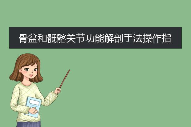 骨盆和骶髂关节功能解剖手法操作指南 百度网盘
