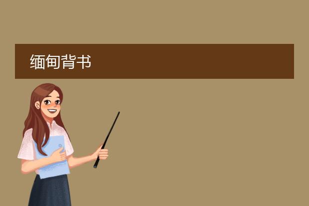 缅甸背书