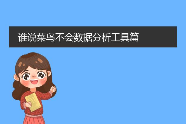 谁说菜鸟不会数据分析工具篇