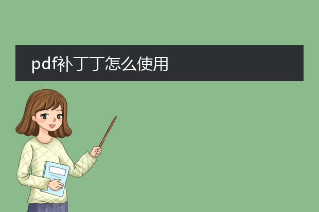 pdf补丁丁怎么使用