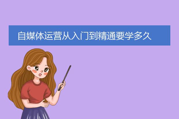 自媒体运营从入门到精通要学多久